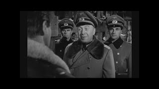 Stalag 17 Full Movie Oscar performance [upl. by Jesher625]