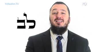 Shalom Aleichem Malachei haShaaret [upl. by Scarlett]