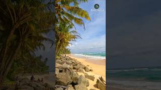 Must Visit Place in Sri Lanka  Mirissa Galle Unawatuna Beach  shorts srilanka travel beach [upl. by Lonergan]