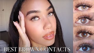 Solotica BROWN Comparisons  Tupis Agata Avela Castanha  Color Contact Review TryOn  Discount [upl. by Yalhsa]