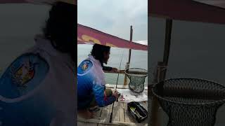 Menangkap ikan dengan serokan mancing ikan mancingmania fishing shortvideo vidioshort shorts [upl. by Yuk]