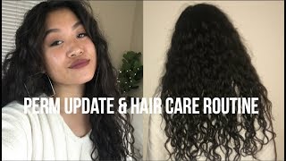 Perm Update and Hair Care Routine [upl. by Sacksen954]