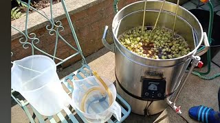 Grainfather G40 brewday 🍺🍺 Part one [upl. by Bernelle122]