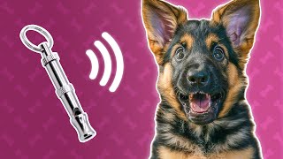 Dog Whistle Sound  Ultrasonic Sound for Dogs [upl. by Nosirrag]