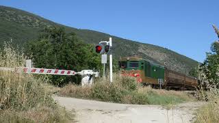 TRENO STORICO SULLA TRANSIBERIANA DITALIA 06062024 [upl. by Adnovay705]