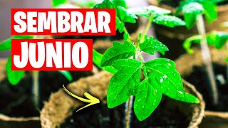 Que sembrar en JUNIO para Huerto y Jardín🌱 Mini Calendario de Siembra 2022  La Huerta de Ivan [upl. by Ahsiat]