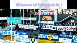 Sv Meppen Song [upl. by Yoccm590]