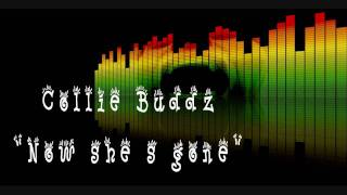 Collie Buddz  Now she s goneRelationship Riddim [upl. by Nannerb]