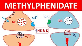 Methylphenidate Ritalin for ADHD  Mechanism precautions side effects amp uses [upl. by Nnail]