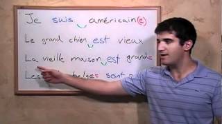 Simple sentences with être and Adjectives [upl. by Bac]