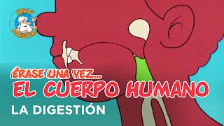 Erase Una Vez El Cuerpo Humano  La digestión [upl. by Ardnuek]