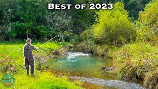 THE BEST FLY FISHING  TROUT FISHING VIDEO Best of Compilation  2023 [upl. by Jordison]