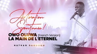 OWO OLUWA French Version  LA MAIN DE L’ÉTERNEL  Nathan Daoudou [upl. by Rem]