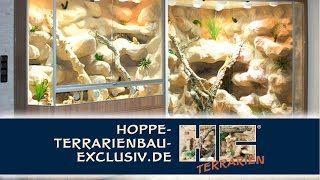 2 Terrarien für Bartagamen mit Durchgang [upl. by Papageno989]