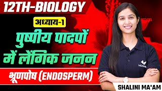 Endosperm L7  Sexual Reproduction in Flowering Plants  Class 12thNEET Biology [upl. by Wendy200]