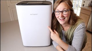 Dehumidifier Review  for Basement Wpsoert 80 Pints Dehumidifiers for Home Large Room [upl. by Giffy]