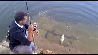 PESCANDO BASSES EN MADRID CON LOS COMPAÑEROS DE SEDIENTOS DE PESCA 1 [upl. by Adlaremse]