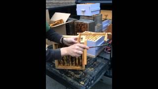 Warre Hive Honey Harvest [upl. by Aleris]