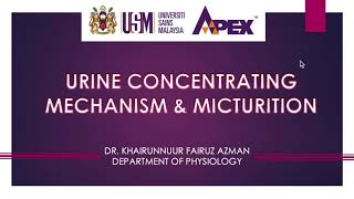 Urine concentrating mechanism and micturition [upl. by Jones]