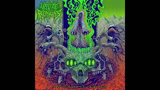 Utilize the Remains  Derealization SlamBrutal Death Metal [upl. by Robbin341]