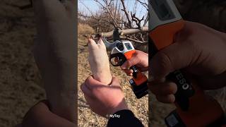 Electric pruner not cut your skin 😯 [upl. by Roybn396]