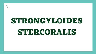 Strongyloides stercoralis  Threadworm  Life Cycle Symptoms Diagnosis Treatment  Nematodes [upl. by Laryssa]