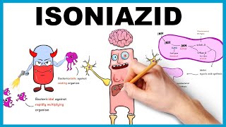 Isoniazid Mechanism of Action Uses Dose side effects [upl. by Berlin]