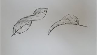 How to draw curled leaf drawing very easyeasy Leaf drawingVels Art Classes [upl. by Agata]