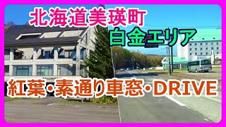 【北海道】🍁美瑛町白金エリア〔十勝岳望岳台駐車場白金温泉白金青い池くまげら展望広場十勝岳火山砂防情報センター道の駅びえい白金ビルケ〕🍁紅葉🍂素通り車窓𝐃𝐑𝐈𝐕𝐄 2024 [upl. by Newlin]