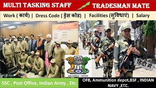 Tradesman Mate Job Profile VS Multi Tasking Staff  Job Profile [upl. by Ynaffet]