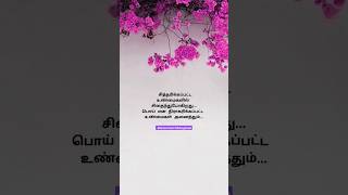 tamil tamilsong trendingshorts kavithai quoteoftheday life [upl. by Ecinahc697]