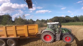 GoPro Ensilage de paille 2016  Cuma de Mené Rance  Krone Big X600 amp Easy Flow 300  Fendt 822 [upl. by Ahsilad]