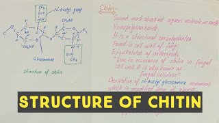 Chitin  chitin polysaccharide  structure of chitin [upl. by Tnias]