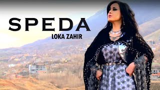 Loka Zahir Speda by Halkawt Zaher لۆكە زاهیر  سپێدە [upl. by Einniw]