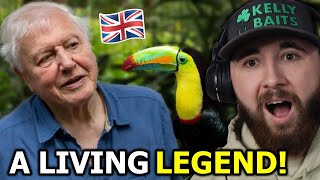 American Reacts to David Attenborough for the First Time his best moments [upl. by Calendre]