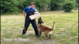 Tarzan Ot Vitosha Protection Training [upl. by Kaycee464]