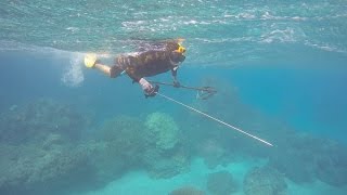 Spearfishing in Maui [upl. by Wane]