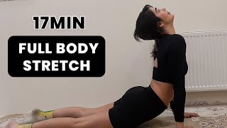 17 Min Full Body Stretch No Equipment [upl. by Ellehsem]