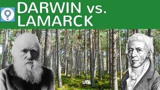 Darwin vs Lamarck  Evolutionstheorie von Lamarck und Darwin im Vergleich  Evolution 8 [upl. by Okime778]