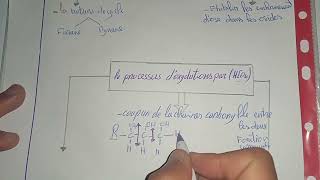 Amazing two phase treatment of Sever Class II Div 1  lama 10Y [upl. by Duwalt]