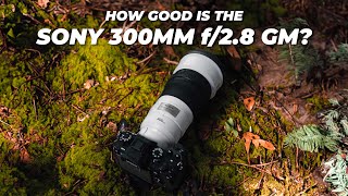 Sony FE 300mm f28 GM OSS Lens Review  Is This THE BEST GM Prime Lens [upl. by Yorle]