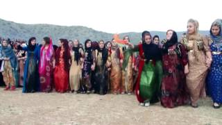 Darwesh Naxada Gorane Nawroz w bahar 2017 [upl. by Tooley68]