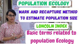 Population Ecology  Mark and Recapture Method  Lincoln Index  Terms Related to Population Ecology [upl. by Yehus]