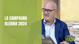 La campagna olearia 2024 [upl. by Ramor192]