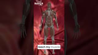 Want to Restore Your Myelin Sheath Naturally Watch Now [upl. by Vokaay103]