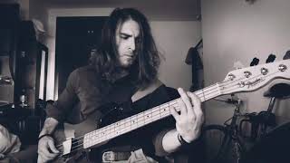 Leiva  Flecha bass cover [upl. by Heiskell]