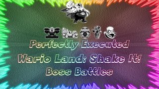 Wario Land Shake It ★ Perfectly Executed Boss Battles [upl. by Anneg283]