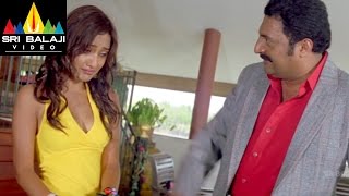 Chirutha Movie Prakash Raj and Neha Sharma Scene  Ram Charan Neha Sharma  Sri Balaji Video [upl. by Selwyn]