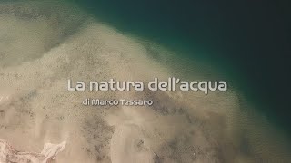 Documentario quotLa natura dellacquaquot di Marco Tessaro  Lingua italiana [upl. by Assirhc]