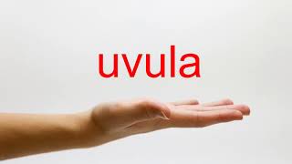 How to Pronounce uvula  American English [upl. by Silverts]